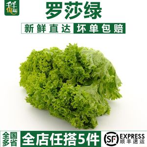 绿色锐捷客户端官方下载绿云pms酒店管理系统下载-第1张图片-太平洋在线下载