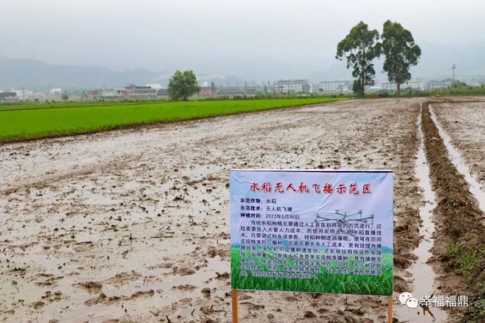 飞播直播苹果版飞播直播app软件平台-第2张图片-太平洋在线下载
