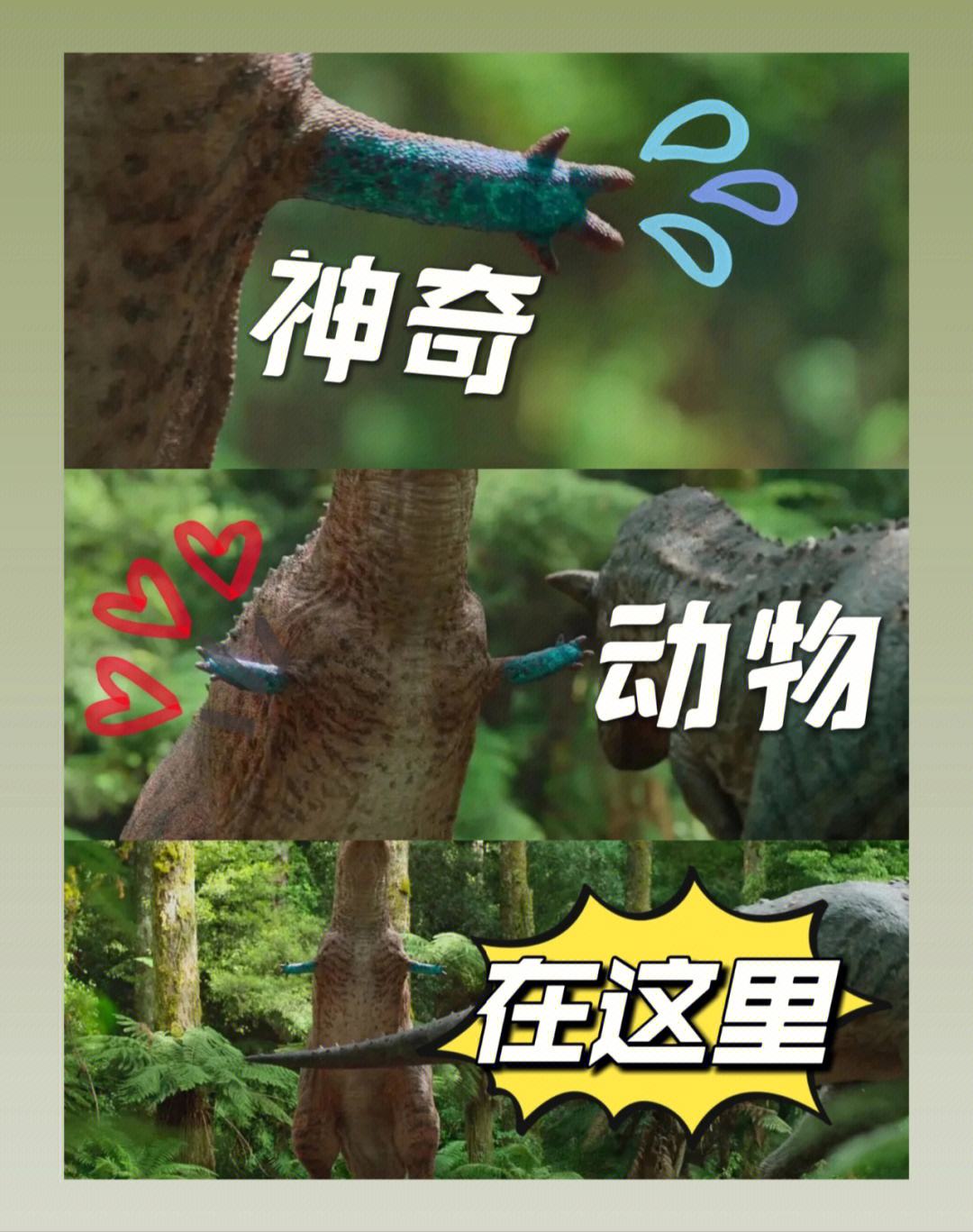 杂货星球苹果版果糖星球官方网站-第2张图片-太平洋在线下载
