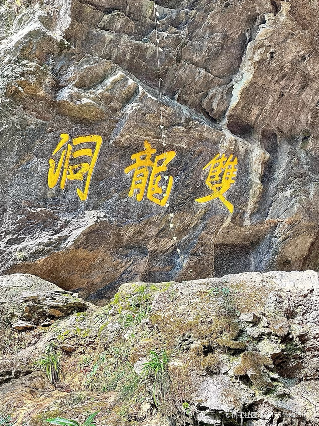 新星计划手机版怎么下载星图游戏发行人计划电脑入口-第1张图片-太平洋在线下载
