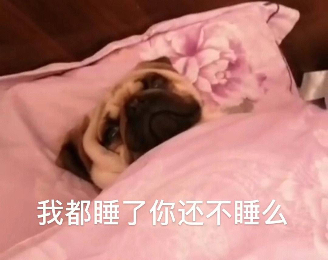 皮皮搞笑苹果版皮皮搞笑网页版入口-第2张图片-太平洋在线下载