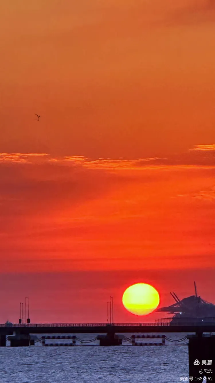 包含手机版滨江晨景图片的词条-第5张图片-QuickQ官网