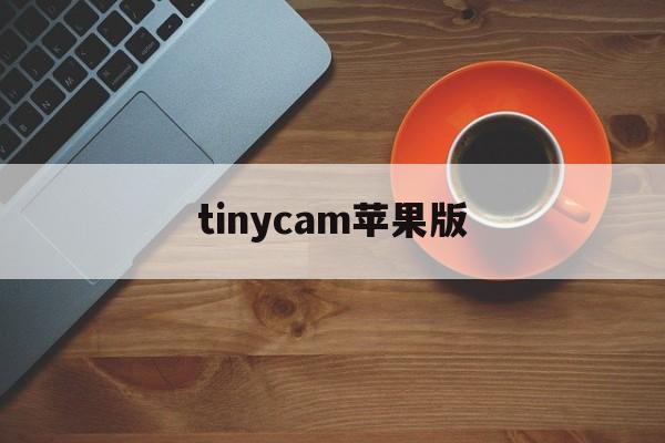 tinycam苹果版(苹果虚拟相机替换拍照软件)-第2张图片-QuickQ官网