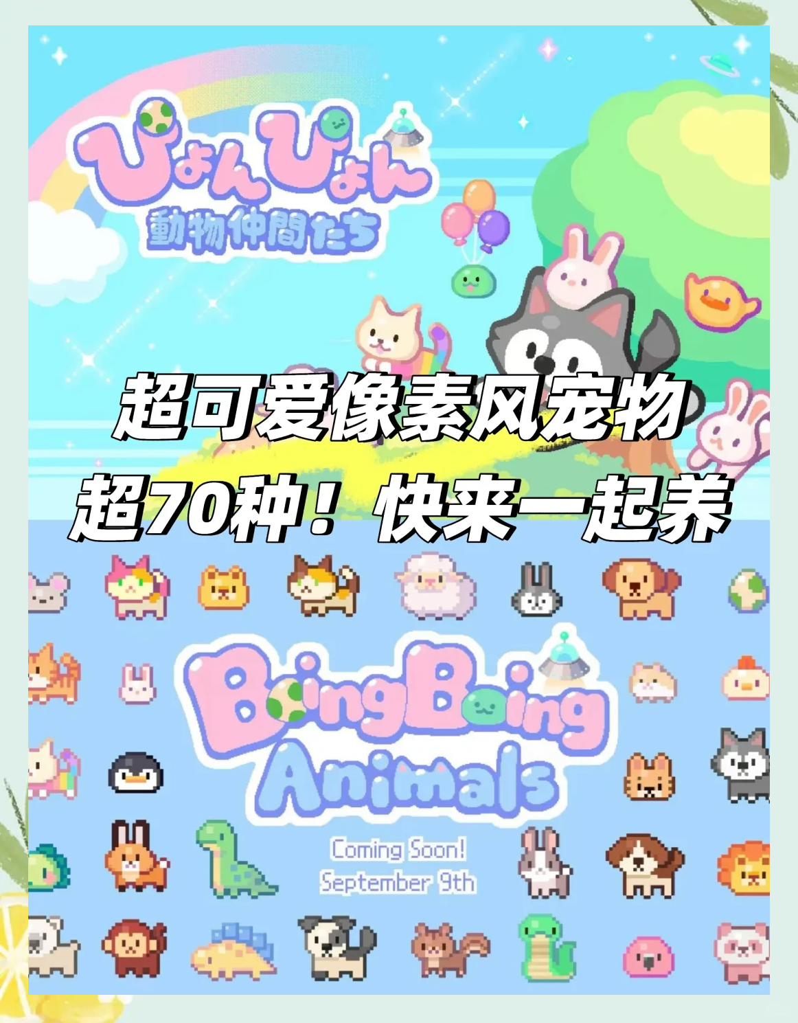 苹果版电子宠物(苹果电子宠物机攻略)-第5张图片-QuickQ官网