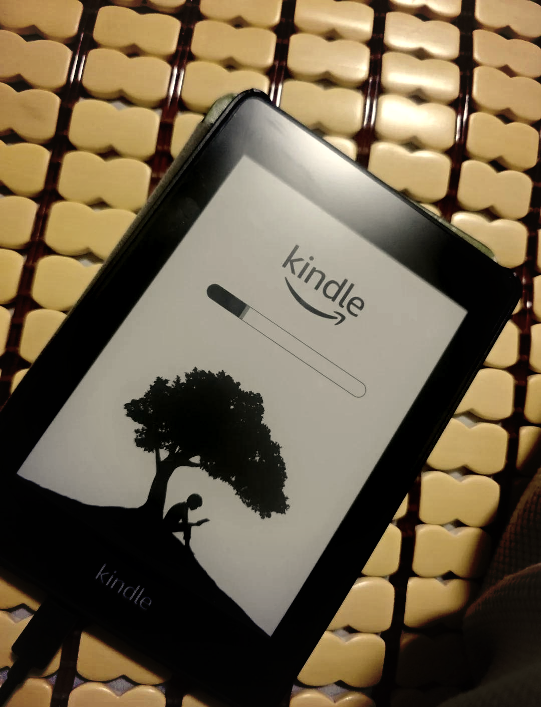 kindle手机版字典(手机kindle字典怎么添加)-第3张图片-QuickQ官网