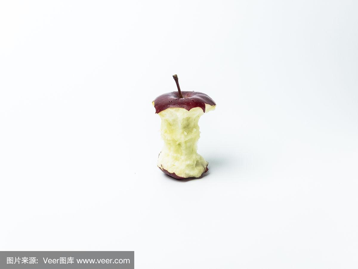 苹果迷路版(迷路猫ios)