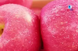 苹果tvBeta版(apple tv 版)-第5张图片-QuickQ官网