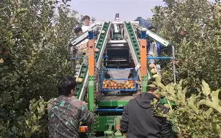 netpas苹果版(netkeeper苹果版)-第1张图片-QuickQ官网